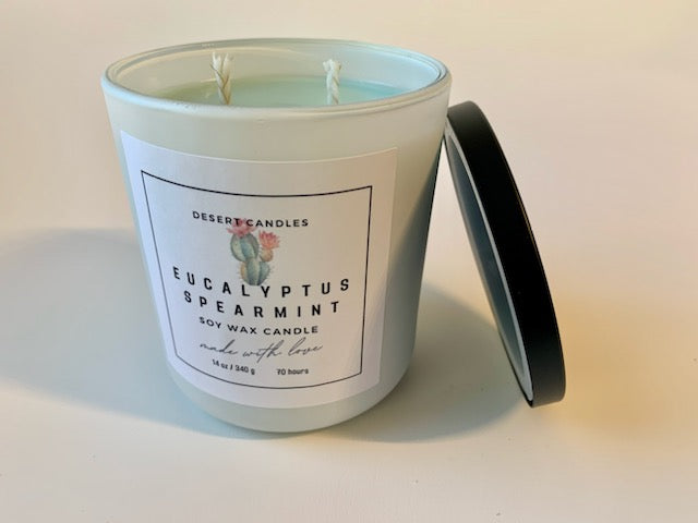 Eucalyptus Spearmint Soy Wax Candle - 14oz