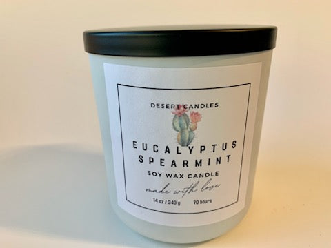 Eucalyptus Spearmint Soy Wax Candle - 14oz